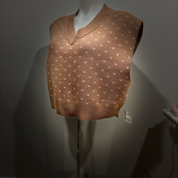 NWT Free People Over-Sized Brown and Pink V-Neck Sweater Vest - Picture 5 of 16
